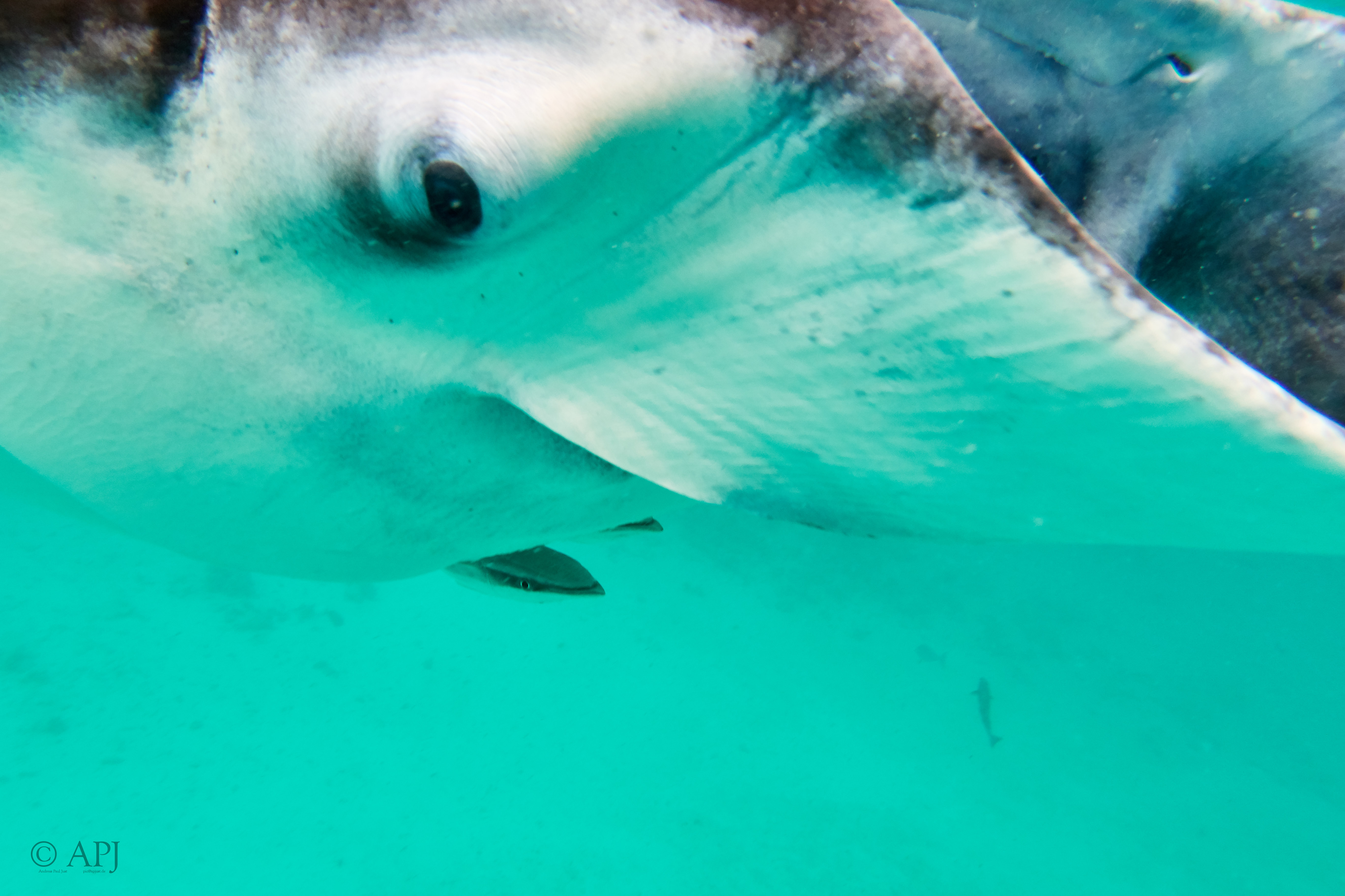 002928 17 08 17  Canon PowerShot G7 X Mark II   Malediven2017